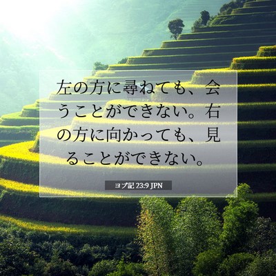 Picture 07 - ヨブ記 23:9 JPN - 左の方に尋ねても、会うことができ - Bible Verse Picture