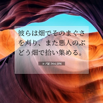 Picture 07 - ヨブ記 24:6 JPN - 彼らは畑でそのまぐさを刈り、また - Bible Verse Picture