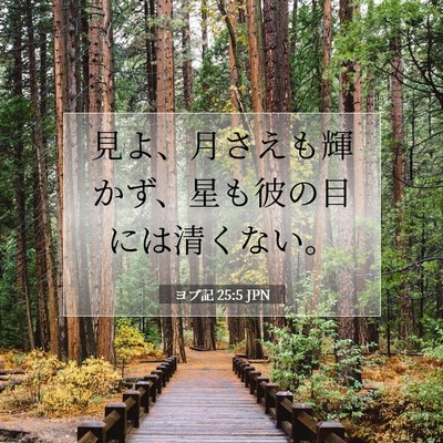 Picture 07 - ヨブ記 25:5 JPN - 見よ、月さえも輝かず、星も彼の目 - Bible Verse Picture