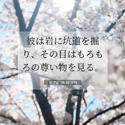 Picture 07 - ヨブ記 28:10 JPN - 彼は岩に坑道を掘り、その目はもろ - Bible Verse Picture