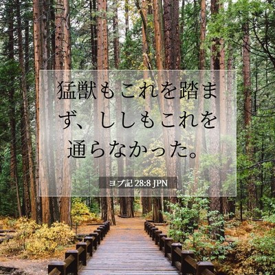 Picture 07 - ヨブ記 28:8 JPN - 猛獣もこれを踏まず、ししもこれを - Bible Verse Picture