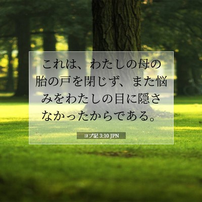 Picture 07 - ヨブ記 3:10 JPN - これは、わたしの母の胎の戸を閉じ - Bible Verse Picture