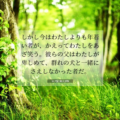 Picture 07 - ヨブ記 30:1 JPN - しかし今はわたしよりも年若い者が - Bible Verse Picture