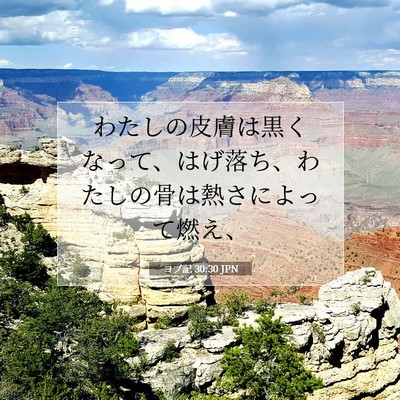 Picture 07 - ヨブ記 30:30 JPN - わたしの皮膚は黒くなって、はげ落 - Bible Verse Picture
