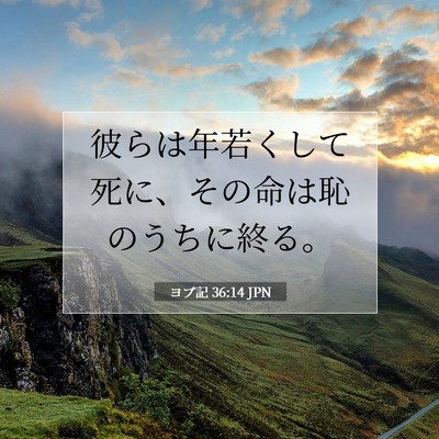 Picture 07 - ヨブ記 36:14 JPN - 彼らは年若くして死に、その命は恥 - Bible Verse Picture