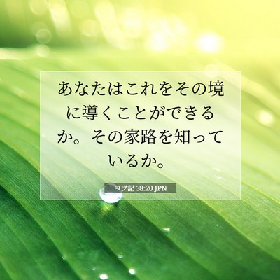 Picture 07 - ヨブ記 38:20 JPN - あなたはこれをその境に導くことが - Bible Verse Picture