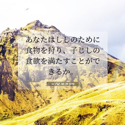 Picture 07 - ヨブ記 38:39 JPN - あなたはししのために食物を狩り、 - Bible Verse Picture