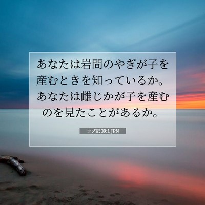 Picture 07 - ヨブ記 39:1 JPN - あなたは岩間のやぎが子を産むとき - Bible Verse Picture