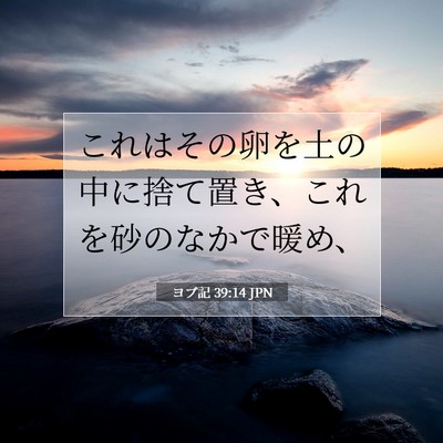 Picture 07 - ヨブ記 39:14 JPN - これはその卵を土の中に捨て置き、 - Bible Verse Picture
