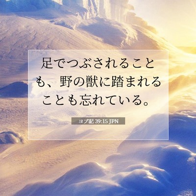 Picture 07 - ヨブ記 39:15 JPN - 足でつぶされることも、野の獣に踏 - Bible Verse Picture