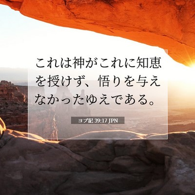 Picture 07 - ヨブ記 39:17 JPN - これは神がこれに知恵を授けず、悟 - Bible Verse Picture