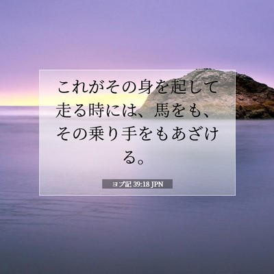 Picture 07 - ヨブ記 39:18 JPN - これがその身を起して走る時には、 - Bible Verse Picture