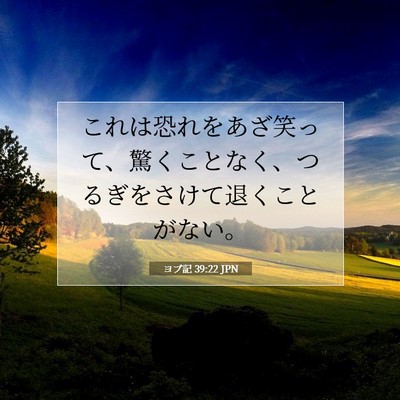 Picture 07 - ヨブ記 39:22 JPN - これは恐れをあざ笑って、驚くこと - Bible Verse Picture
