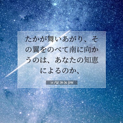 Picture 07 - ヨブ記 39:26 JPN - たかが舞いあがり、その翼をのべて - Bible Verse Picture