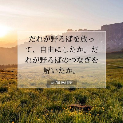 Picture 07 - ヨブ記 39:5 JPN - だれが野ろばを放って、自由にした - Bible Verse Picture