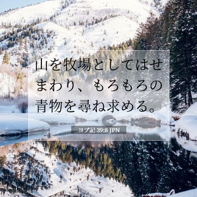 Picture 07 - ヨブ記 39:8 JPN - 山を牧場としてはせまわり、もろも - Bible Verse Picture