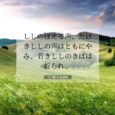 Picture 07 - ヨブ記 4:10 JPN - ししのほえる声、たけきししの声は - Bible Verse Picture