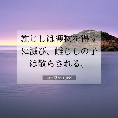 Picture 07 - ヨブ記 4:11 JPN - 雄じしは獲物を得ずに滅び、雌じし - Bible Verse Picture