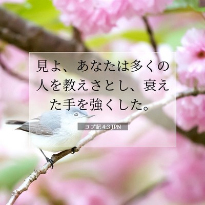 Picture 07 - ヨブ記 4:3 JPN - 見よ、あなたは多くの人を教えさと - Bible Verse Picture