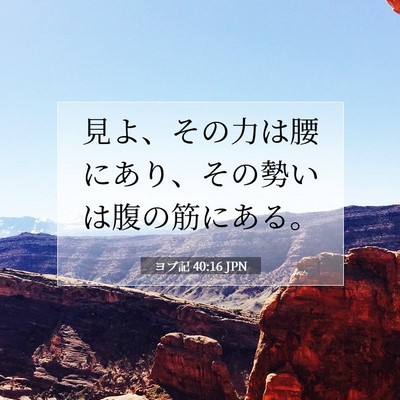 Picture 07 - ヨブ記 40:16 JPN - 見よ、その力は腰にあり、その勢い - Bible Verse Picture