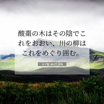 Picture 07 - ヨブ記 40:22 JPN - 酸棗の木はその陰でこれをおおい、 - Bible Verse Picture