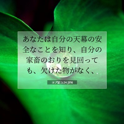 Picture 07 - ヨブ記 5:24 JPN - あなたは自分の天幕の安全なことを - Bible Verse Picture