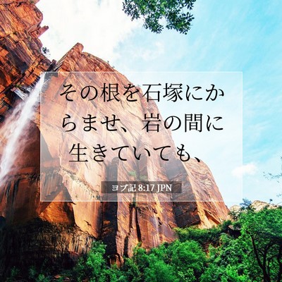 Picture 07 - ヨブ記 8:17 JPN - その根を石塚にからませ、岩の間に - Bible Verse Picture