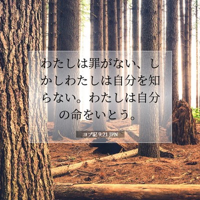 Picture 07 - ヨブ記 9:21 JPN - わたしは罪がない、しかしわたしは - Bible Verse Picture