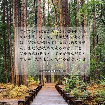 Picture 07 - ルカによる福音書 10:22 JPN - すべての事は父からわたしに任せら - Bible Verse Picture
