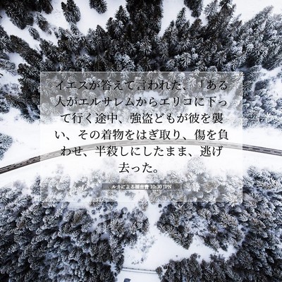 Picture 07 - ルカによる福音書 10:30 JPN - イエスが答えて言われた、「ある人 - Bible Verse Picture