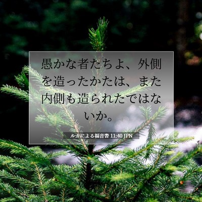 Picture 07 - ルカによる福音書 11:40 JPN - 愚かな者たちよ、外側を造ったかた - Bible Verse Picture