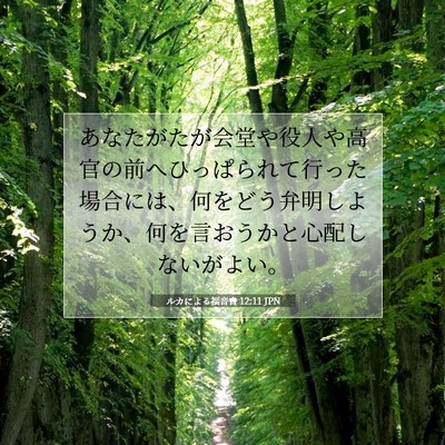 Picture 07 - ルカによる福音書 12:11 JPN - あなたがたが会堂や役人や高官の前 - Bible Verse Picture