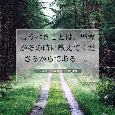 Picture 07 - ルカによる福音書 12:12 JPN - 言うべきことは、聖霊がその時に教 - Bible Verse Picture