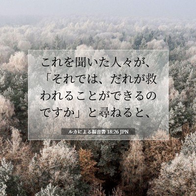 Picture 07 - ルカによる福音書 18:26 JPN - これを聞いた人々が、「それでは、 - Bible Verse Picture