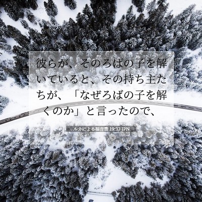 Picture 07 - ルカによる福音書 19:33 JPN - 彼らが、そのろばの子を解いている - Bible Verse Picture
