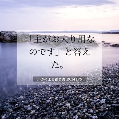 Picture 07 - ルカによる福音書 19:34 JPN - 「主がお入り用なのです」と答えた - Bible Verse Picture