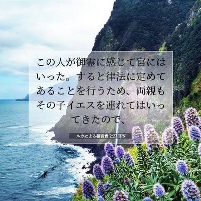 Picture 07 - ルカによる福音書 2:27 JPN - この人が御霊に感じて宮にはいった - Bible Verse Picture