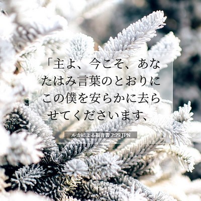 Picture 07 - ルカによる福音書 2:29 JPN - 「主よ、今こそ、あなたはみ言葉の - Bible Verse Picture