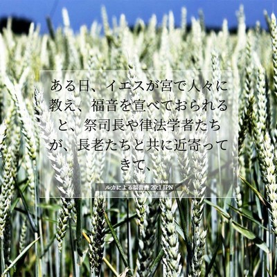Picture 07 - ルカによる福音書 20:1 JPN - ある日、イエスが宮で人々に教え、 - Bible Verse Picture