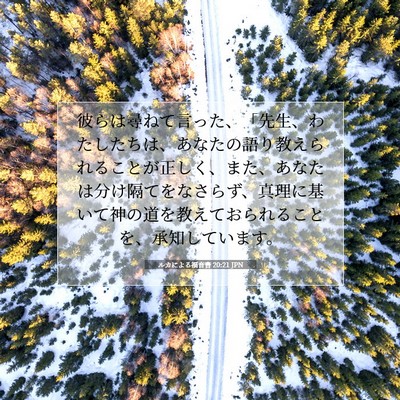 Picture 07 - ルカによる福音書 20:21 JPN - 彼らは尋ねて言った、「先生、わた - Bible Verse Picture