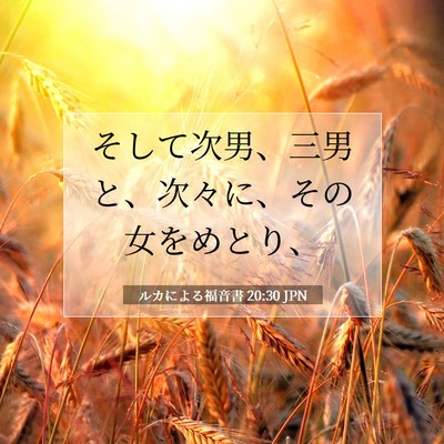 Picture 07 - ルカによる福音書 20:30 JPN - そして次男、三男と、次々に、その - Bible Verse Picture