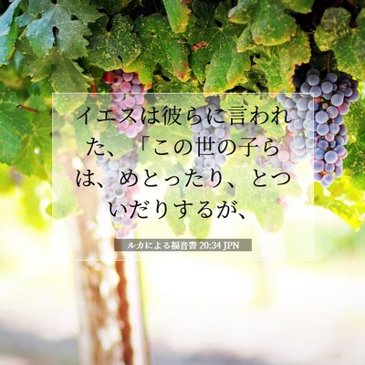 Picture 07 - ルカによる福音書 20:34 JPN - イエスは彼らに言われた、「この世 - Bible Verse Picture