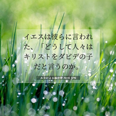 Picture 07 - ルカによる福音書 20:41 JPN - イエスは彼らに言われた、「どうし - Bible Verse Picture