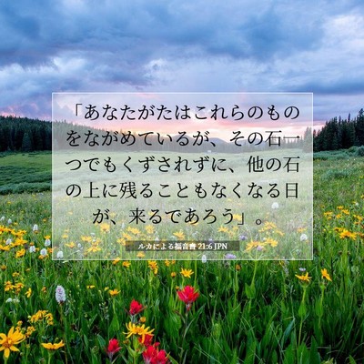 Picture 07 - ルカによる福音書 21:6 JPN - 「あなたがたはこれらのものをなが - Bible Verse Picture