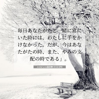 Picture 07 - ルカによる福音書 22:53 JPN - 毎日あなたがたと一緒に宮にいた時 - Bible Verse Picture