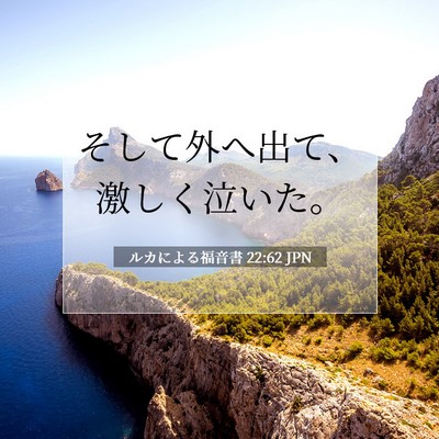 Picture 07 - ルカによる福音書 22:62 JPN - そして外へ出て、激しく泣いた。 - Bible Verse Picture