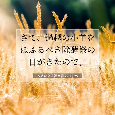 Picture 07 - ルカによる福音書 22:7 JPN - さて、過越の小羊をほふるべき除酵 - Bible Verse Picture