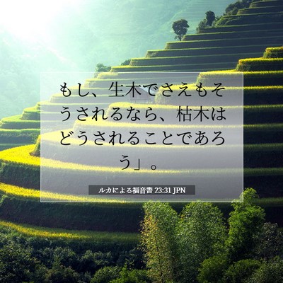 Picture 07 - ルカによる福音書 23:31 JPN - もし、生木でさえもそうされるなら - Bible Verse Picture