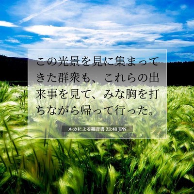 Picture 07 - ルカによる福音書 23:48 JPN - この光景を見に集まってきた群衆も - Bible Verse Picture