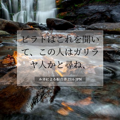 Picture 07 - ルカによる福音書 23:6 JPN - ピラトはこれを聞いて、この人はガ - Bible Verse Picture